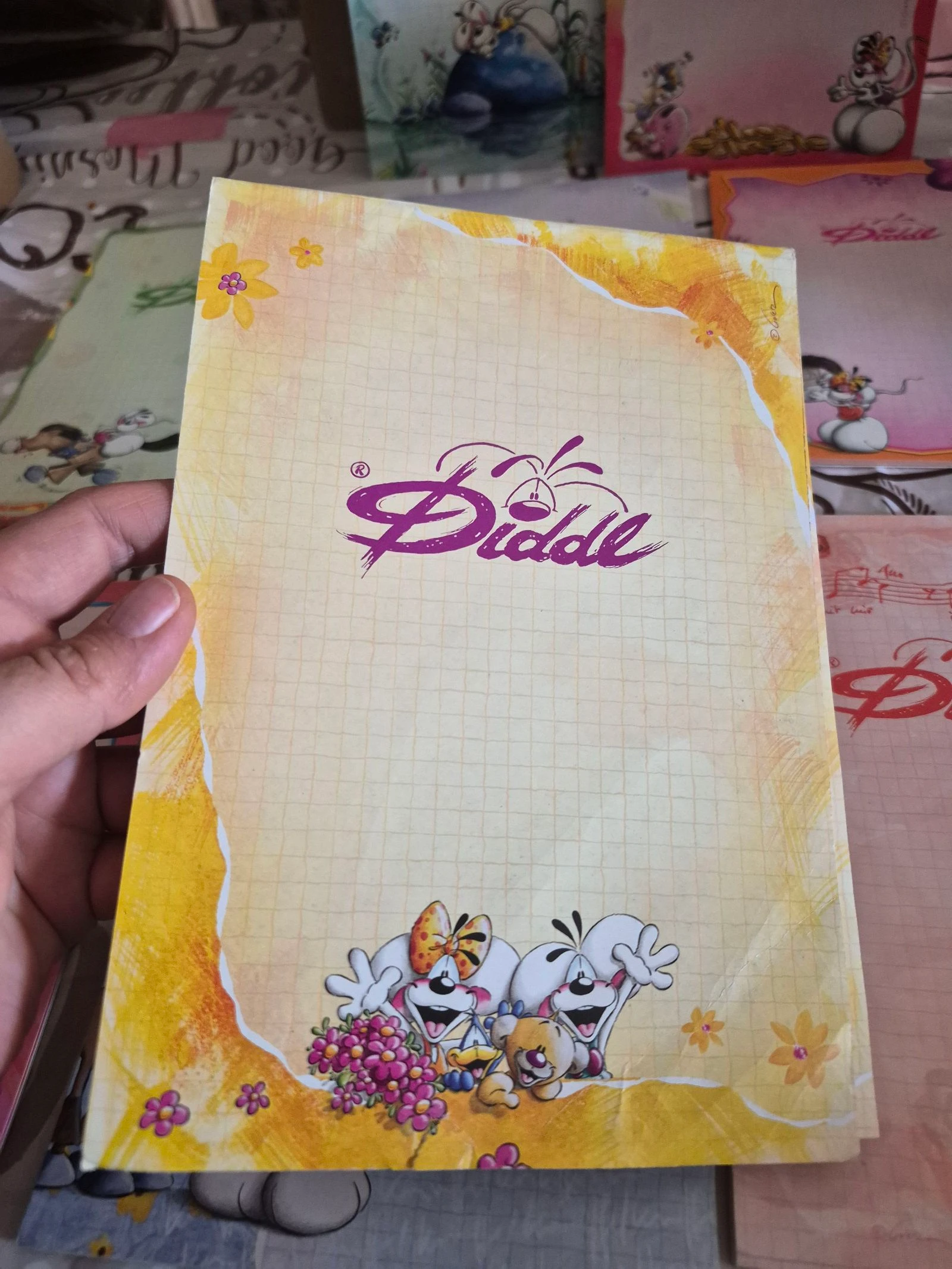 Lote de 9 blocos Diddl A5 – photo 8